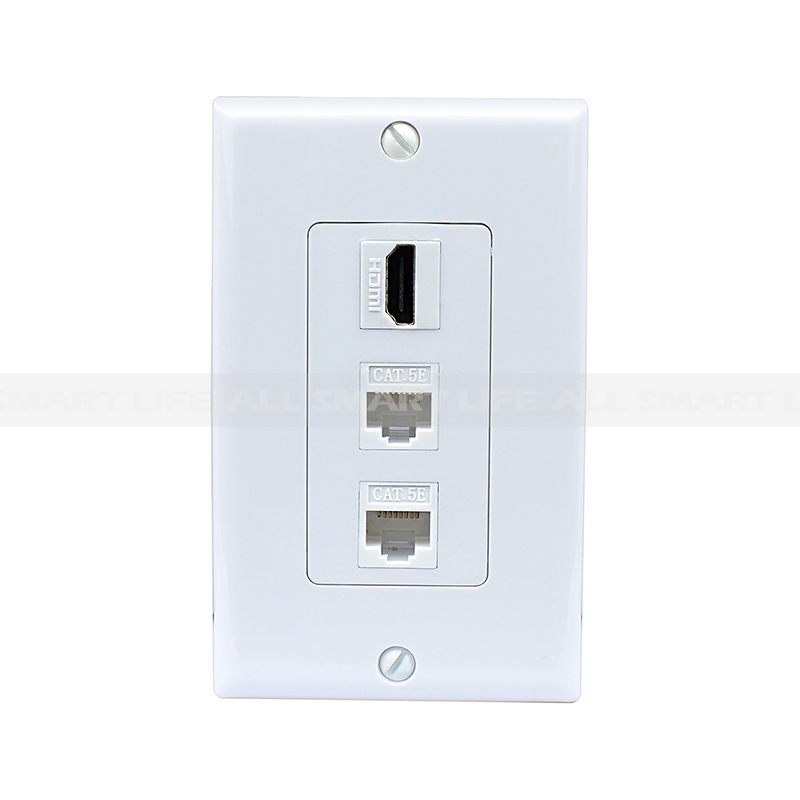 Wall Socket Ethernet Wall Plate Wiring Diagram from www.allsmartlife.com