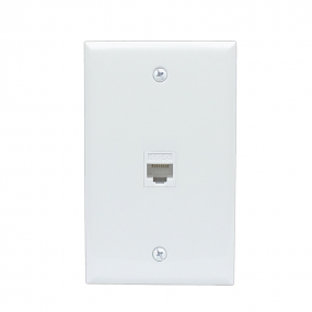 Home Improvement 1 Port Cat6 Female-Female Wall Plates