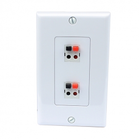 2 port Dual Speaker Module wall plate