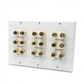 Two Subwoofer Compatible 16 Banana Post and 2 RCA Speaker Wall Plate for Home Theater Audio